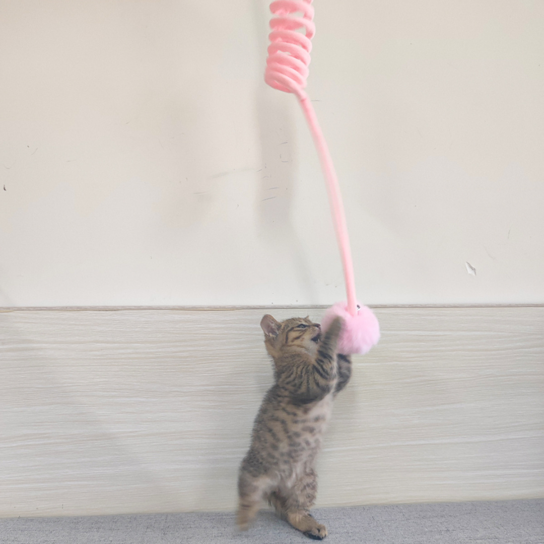 Interactieve kattenspeeltje