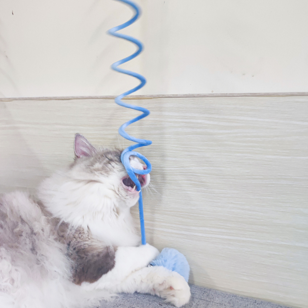 Interactieve kattenspeeltje